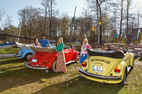 Drei Käfer im Frühling unterwegs