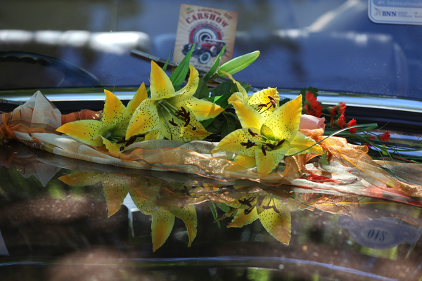 Edle Blumen auf der Motorhaube - am 40. Oldtimer-Meeting Baden-Baden 2016