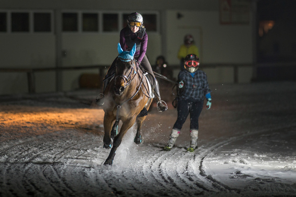 Egal ob am Pferd …