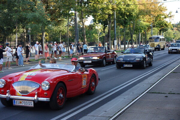 Ein Austin-Healey 100 aus dem Jahr 1955 mit weiteren luftigen Gefährten - Vienna Classic Days 2024