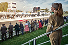 Ein Bild wie aus früheren Zeiten - Impressionen vom Goodwood Revival 2015