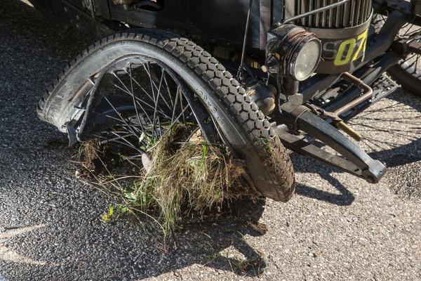 Ein Bremsdefekt der nicht vorhandenen Bremse führte schlussendlich zur Bergabfahrt im Einkaufswagen und endete bei den Kühen in der Wiese.