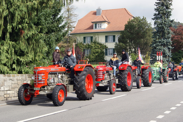 Bild: Ein Dorf sieht rot: Hürlimann-Kolonne auf dem Weg zur Zufahrt – FNA-Jahrestreffen 2024