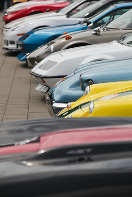 Image: A festival of colors and shapes - seen at the "Fantastic Plastic 2015" meeting