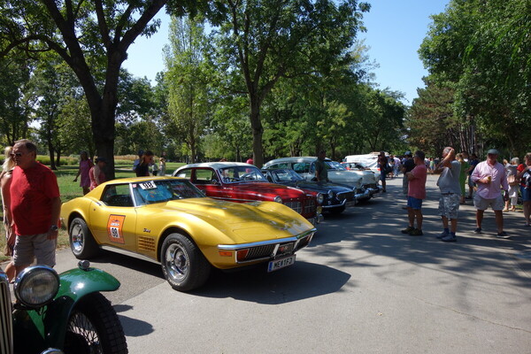 Bild Ein Goldstück, der Chevrolet Corvette aus dem Jahr 1972 - Vienna Classic Days 2024