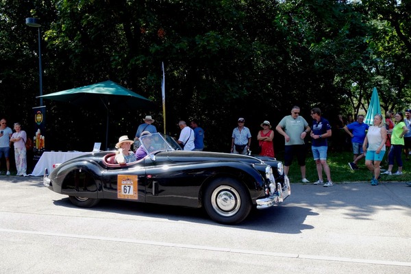 Ein Jaguar XK 140 aus dem Jahr 1955 - Vienna Classic Days 2024