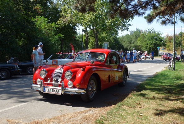 Ein Jaguar XK 140 aus dem Jahr 1956... - Vienna Classic Days 2024
