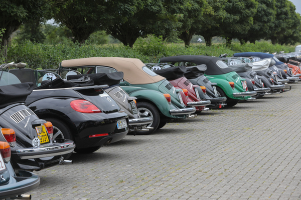Ein New Beetle Cabriolet hat sich zwischen die Käfer Cabrios gemischt - Internationales Käfer-Cabrio-Treffen von Deutschland 2025