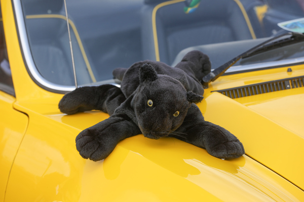 Ein Puma für den Puma - Fantastic Plastic in Rickenbach 2023