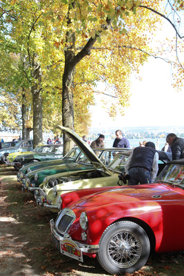 Ein Sechszylinder unter Vierzylindern - alles Autos von MG - Swiss Classic British Car Meeting Morges 2017