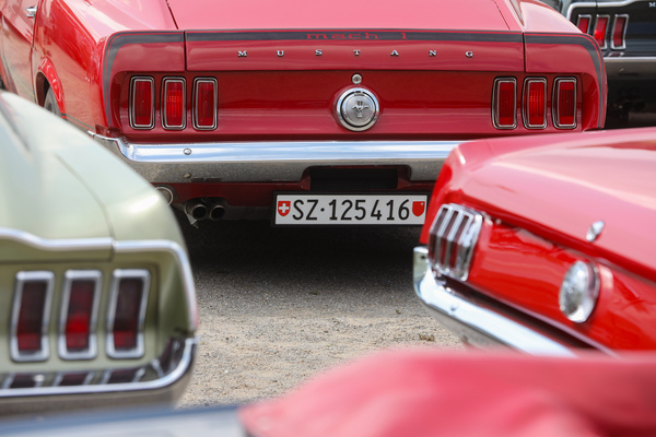 Ein aufgeklebter Zierstreifen ersetzt beim '69er Mach 1 die verchromte Zierleiste des '68er Fastback - 8. Mustang & Shelby Meeting 2024