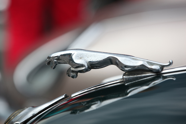Ein jagender Jaguar auf dem Jaguar (Kühlerfigur) - British Car Meeting Mollis 2017