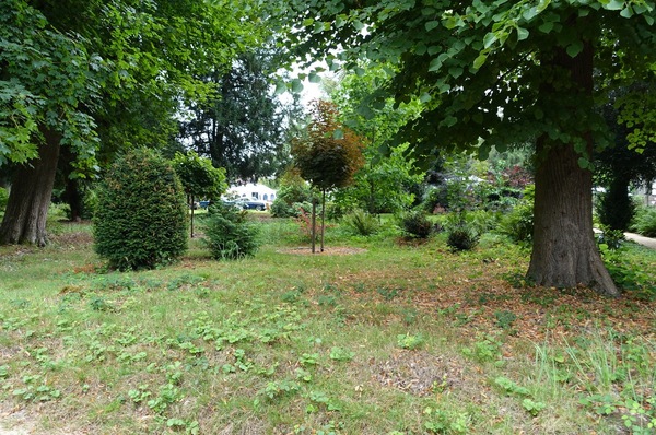 Ein schöner Park mit altem Baumbetand gehört dazu – Classic Days 2025