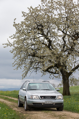Ein zweiter Frühling als Klassiker – Audi S6 quattro (1996)