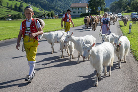 Eindrücke vom Cadillac LaSalle Club Grand European Meeting 2015