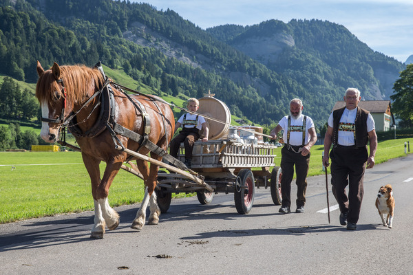Eindrücke vom Cadillac LaSalle Club Grand European Meeting 2015