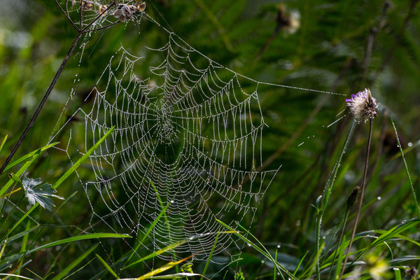 Bild: Eindrücke vom Michaelskreuzrennen 2014 - Beim Warten kann man schon einmal kreativ werden