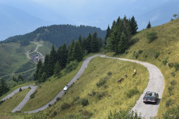 Eindrücke von Touren der Classic Event Organisation CEO