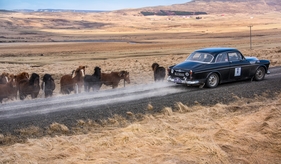 Bild Eindrücke von der Icelandic Saga 2015