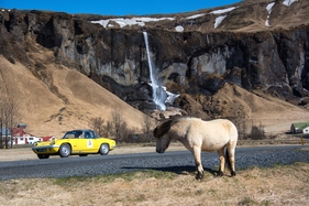 Eindrücke von der Icelandic Saga 2015