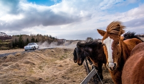 Eindrücke von der Icelandic Saga 2015