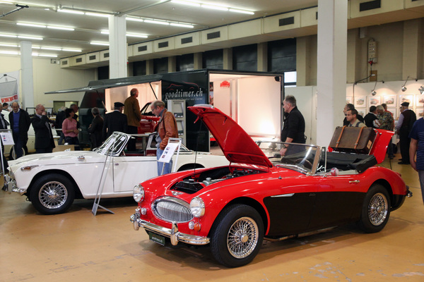 Impressions of the St. Gallen classic car show 2013 - Austin-Healey and Triumph at Goodtimer