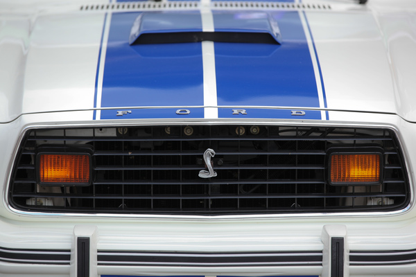 Bild Eine Cobra statt einem Mustang auf dem Kühlergrill - Mustang & Shelby Meeting 2017 in Zug