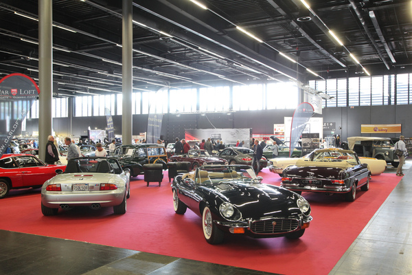 Bild: Eine Katze zwischen deutschen Sport- und Luxuswagen - Classic Expo Salzburg 2019