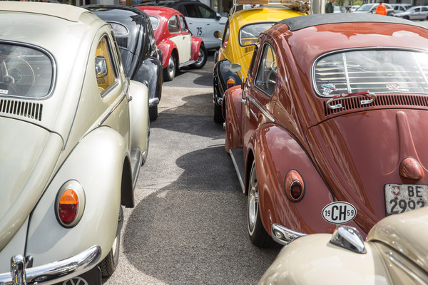 Eine ähnliche “Plage” folgte erst wieder in den Neunzigerjahren mit der Entfaltung des Borkenkäfers!