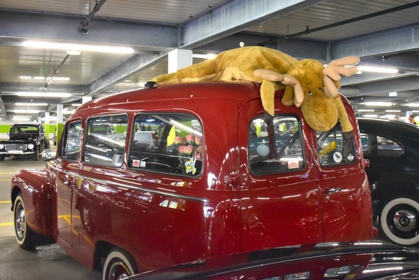 Passed the moose test? This Volvo Duett from the 1960s would have room for many plush moose or a real young moose. It was the first Volvo estate car to join the range of "humpback Volvo" saloons (visible on the left and right) - Swiss Volvo Meeting 2025
