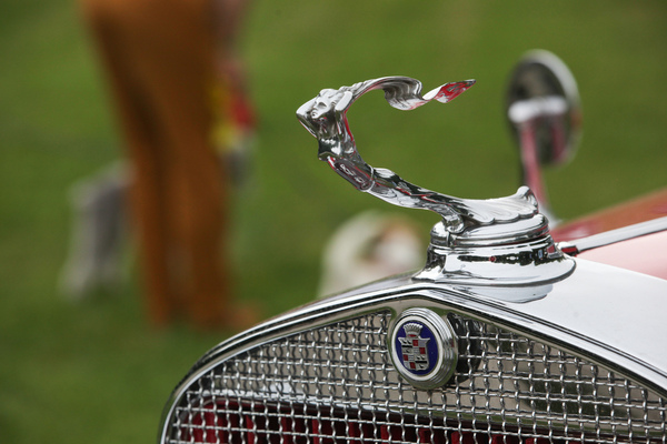 Eleganz aus den USA - Kühlerfigur auf dem Cadillac - Concours d'Elégance Suisse "spéciale" 2021 in Coppet