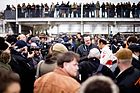Bild: Emanuele Pirro wird interviewt - Goodwood Members Meeting 2016