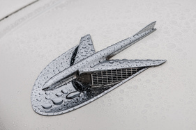 Emblem am Buick Special 1956 - American Live 2015 (1956)