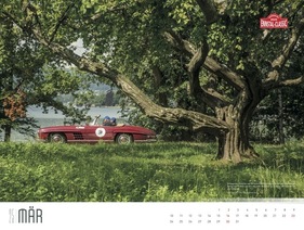 Ennstal-Classic Kalender 2025 – März