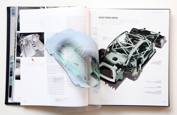 Entblätterung 2 - Struktur - Buch "DBR9 - The Definite History"