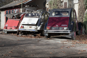 Enten im Winter- oder gar Dornröschenschlag - Citroën 2CV