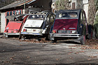 Bild: Enten im Winter- oder gar Dornröschenschlag - Citroën 2CV
