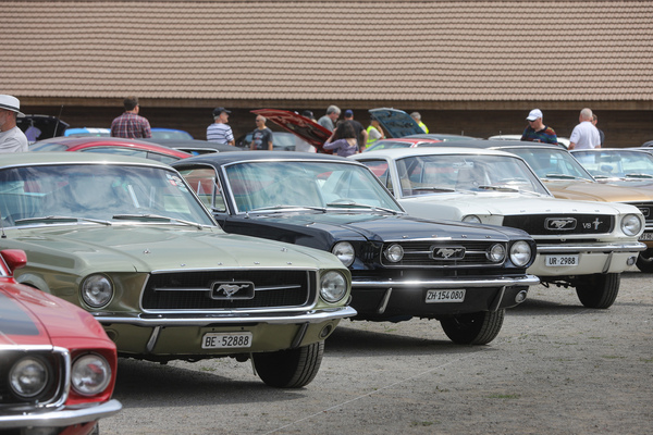 Es braucht nicht viel, um einen Mustang-Jahrgang zu identifizieren. Von links nach rechts: '69, '67, '66, '66 und '68 - 8. Mustang & Shelby Meeting 2024