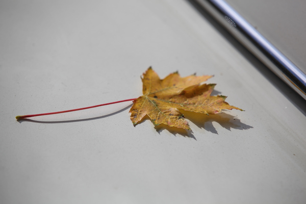 Es ist Herbst - Swiss Classic British Car Meeting Morges 2017