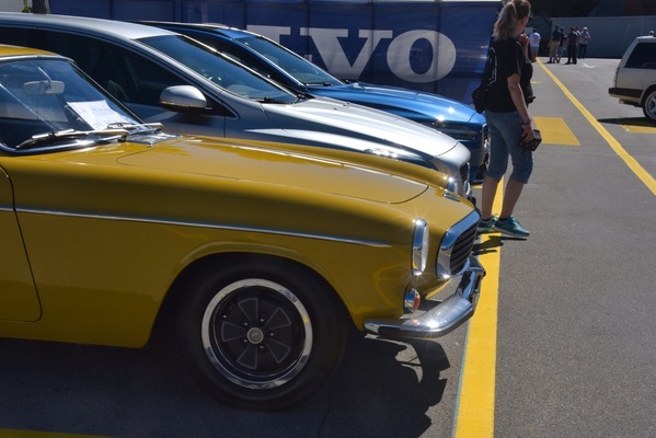 Es ist nicht alles gold, was glänzt – manchmal ist es auch ein Volvo 1800 – Swiss Volvo Meeting 2025