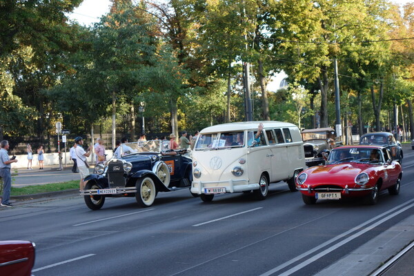 Bild Es leben die Unterschiede - Vorkriegs-Cabriolet, VW Bus und Jaguar E-Type - Vienna Classic Days 2024