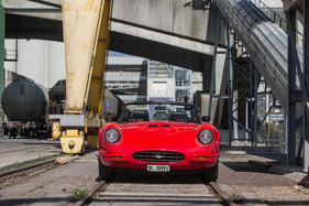 Falke im Grill - Lorenz & Rankl Silver Falcon (1988)