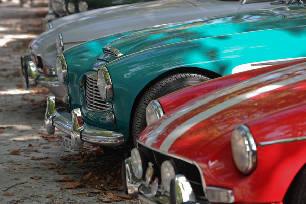 Play of colors between MG and Austin-Healey - Impressions of the Swiss Classic British Car Meeting Morges on October 4, 2014