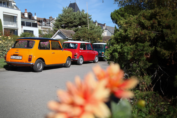 Farbenspiele mit Mini - Swiss Classic British Car Meeting Morges 2017
