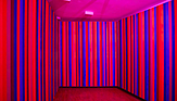 Farblichtraum – Ausstellung: Vision & Leidenschaft im MAC Museum Art & Cars