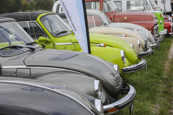 Fast nur Volkswagen in dieser Aufreihung - FNA Jahrestreffen 2025