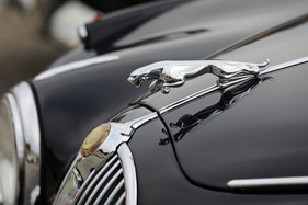 Fast so berühmt wie der dreizackige Stern auf dem Kühler: der springende Jaguar auf der Motorhaube – Albisgütli Classic Cars & Bikes 2024 Fast so berühmt wie der dreizackige Stern auf dem Kühler: der springende Jaguar auf der Motorhaube – Albisgütli Classic Cars & Bikes 2024