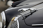 Fast so berühmt wie der dreizackige Stern auf dem Kühler: der springende Jaguar auf der Motorhaube – Albisgütli Classic Cars & Bikes 2024