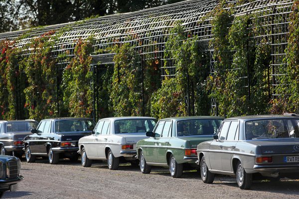 Fast wie am Taxi-Stand von einst - Mercedes-Benz /8-Varianten in Reihe geparkt - Classic-Gala Schwetzingen 2018