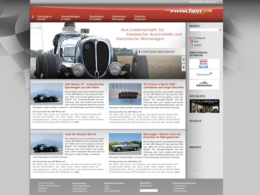 Februar 2010 - finales Ergebnis der ersten professionellen Designs